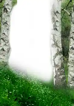 Fotoefect din categoria Primăvară № 149305