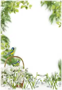 Fotoefect din categoria Primăvară № 205355