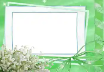 Fotoefect din categoria Primăvară № 33834