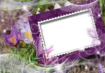 Fotoefect din categoria Primăvară № 4618