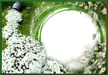 Fotoefect din categoria Primăvară № 4620