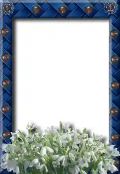 Fotoefect din categoria Primăvară № 8734