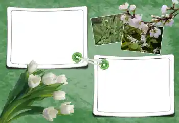 Fotoefect din categoria Primăvară № 93095 Fotoefect din categoria Primăvară № 93095