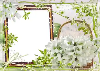 Fotoefect din categoria Primăvară № 980 Fotoefect din categoria Primăvară № 980