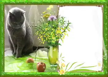 Fotoefect din categoria Primăvară № 982