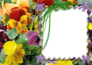 Fotoefect din categoria Primăvară № 983