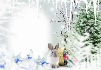 Fotoefect din categoria Iarnă № 128650