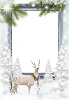 Fotoefect din categoria Iarnă № 128652