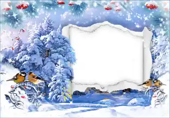 Fotoefect din categoria Iarnă № 128673