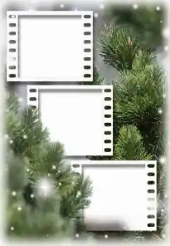 Fotoefect din categoria Iarnă № 129913