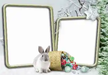 Fotoefect din categoria Iarnă № 148975 Fotoefect din categoria Iarnă № 148975