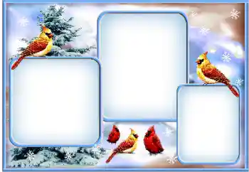 Fotoefect din categoria Iarnă № 163360 Fotoefect din categoria Iarnă № 163360
