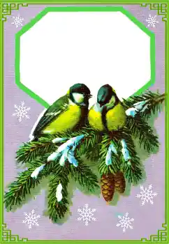 Fotoefect din categoria Iarnă № 177851