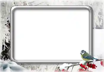 Fotoefect din categoria Iarnă № 179644