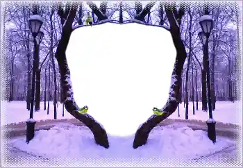 Fotoefect din categoria Iarnă № 183367