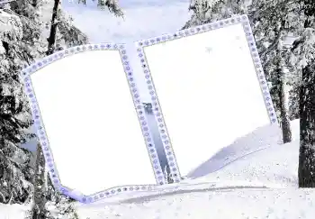 Fotoefect din categoria Iarnă № 3358