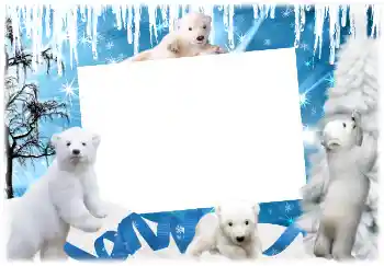 Fotoefect din categoria Iarnă № 3366