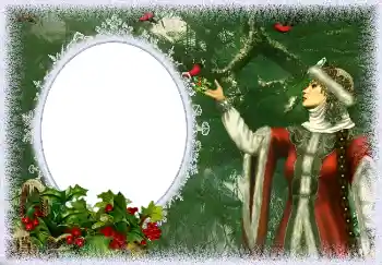 Fotoefect din categoria Iarnă № 3372
