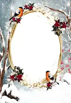 Fotoefect din categoria Iarnă № 3374