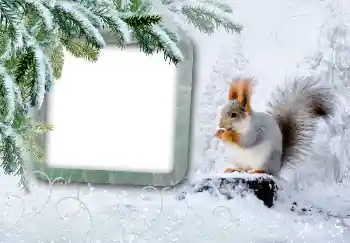 Fotoefect din categoria Iarnă № 3375