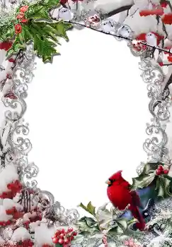 Fotoefect din categoria Iarnă № 3380