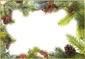 Fotoefect din categoria Iarnă № 3395