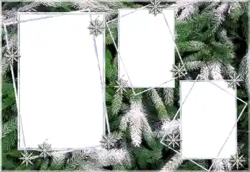 Fotoefect din categoria Iarnă № 64393 Fotoefect din categoria Iarnă № 64393
