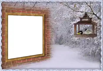 Fotoefect din categoria Iarnă № 65557 Fotoefect din categoria Iarnă № 65557