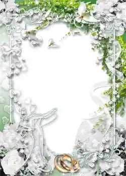 Fotoefect din categoria Rame foto de nuntă № 1045