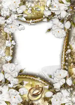 Fotoefect din categoria Rame foto de nuntă № 1066
