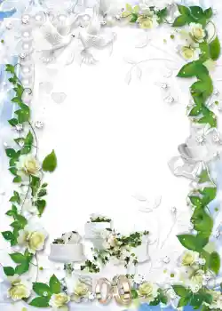 Fotoefect din categoria Rame foto de nuntă № 1072