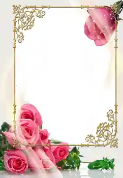 Fotoefect din categoria Rame foto de nuntă № 114400 Fotoefect din categoria Rame foto de nuntă № 114400