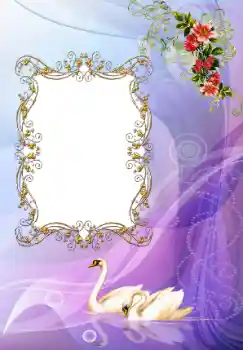 Fotoefect din categoria Rame foto de nuntă № 117222 Fotoefect din categoria Rame foto de nuntă № 117222