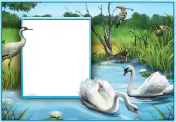 Fotoefect din categoria Rame foto de nuntă № 124253 Fotoefect din categoria Rame foto de nuntă № 124253