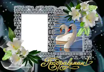 Fotoefect din categoria Rame foto de nuntă № 130161. Inscripție pe ramă: Felicitări! Fotoefect din categoria Rame foto de nuntă № 130161. Inscripție pe ramă: Felicitări!