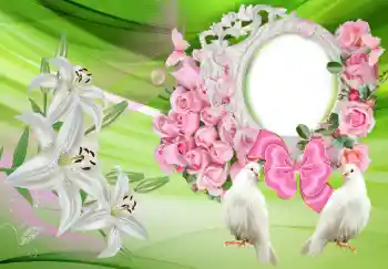 Fotoefect din categoria Rame foto de nuntă № 133101