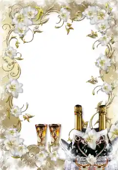 Fotoefect din categoria Rame foto de nuntă № 138566