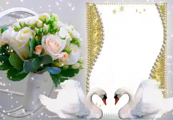 Fotoefect din categoria Rame foto de nuntă № 149216 Fotoefect din categoria Rame foto de nuntă № 149216
