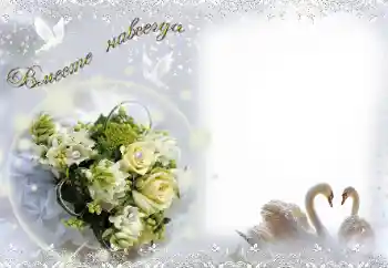 Fotoefect din categoria Rame foto de nuntă № 15058. Inscripție pe ramă: Вместе навсегда! Fotoefect din categoria Rame foto de nuntă № 15058. Inscripție pe ramă: Вместе навсегда!