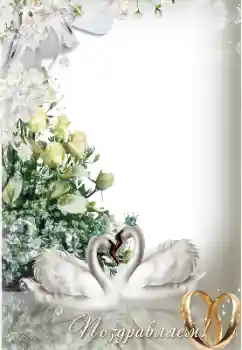 Fotoefect din categoria Rame foto de nuntă № 154743. Inscripție pe ramă: Felicitări! Fotoefect din categoria Rame foto de nuntă № 154743. Inscripție pe ramă: Felicitări!