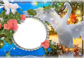 Fotoefect din categoria Rame foto de nuntă № 157109 Fotoefect din categoria Rame foto de nuntă № 157109