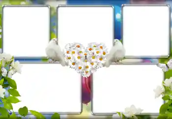 Fotoefect din categoria Rame foto de nuntă № 157149 Fotoefect din categoria Rame foto de nuntă № 157149