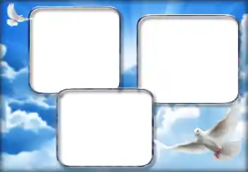 Fotoefect din categoria Rame foto de nuntă № 160852 Fotoefect din categoria Rame foto de nuntă № 160852