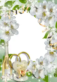 Fotoefect din categoria Rame foto de nuntă № 1633