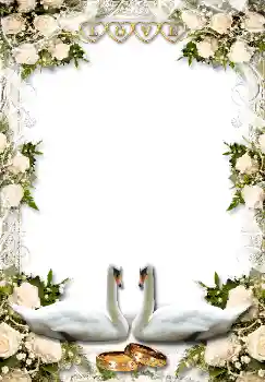 Fotoefect din categoria Rame foto de nuntă № 1634