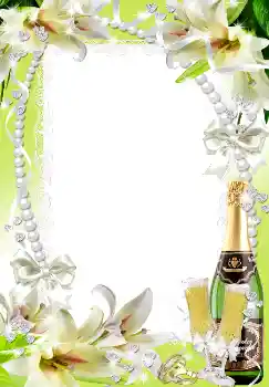 Fotoefect din categoria Rame foto de nuntă № 1638