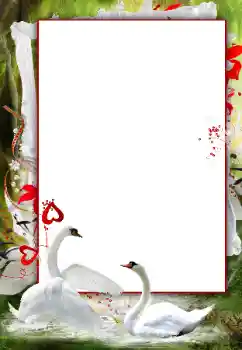Fotoefect din categoria Rame foto de nuntă № 166120