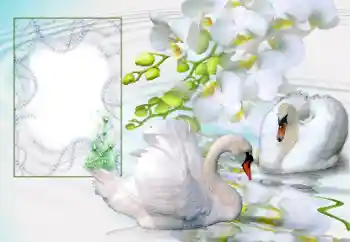 Fotoefect din categoria Rame foto de nuntă № 166673
