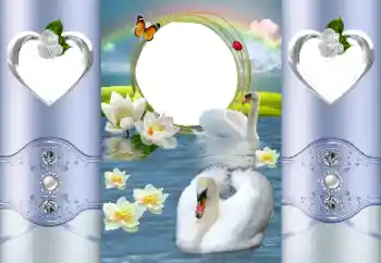 Fotoefect din categoria Rame foto de nuntă № 167887