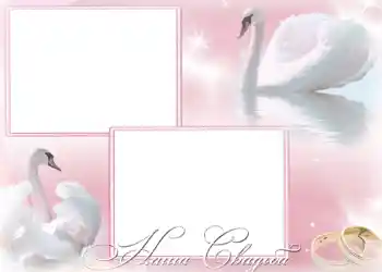 Fotoefect din categoria Rame foto de nuntă № 168. Inscripție pe ramă: Nunta noastră Fotoefect din categoria Rame foto de nuntă № 168. Inscripție pe ramă: Nunta noastră